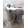 Бачок омывателя DAF 95 663035 (017)