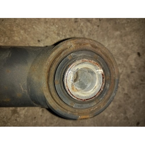 Стойка заднего стабилизатора DAF 105 901647 (876)-2