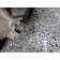 Коллектор впускной Renault DCI 420 126767 в сборе c патрубком и датчиком (922)