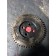 Шестерня ГРМ MAN 4 отверстия D2866-2876 (637)