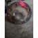Полуось без блокировки Mercedes 31 зуб 101см (326)  