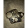 Крышка двигателя лобовая MAN M2000 (497)