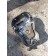 Крышка клапанная Scania R440 XPI 294147 (608)