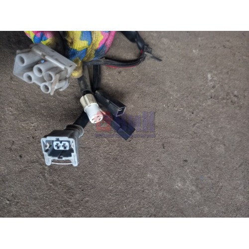 Проводка двери DAF 95 XF RH (521) -3