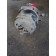 Энергоаккумулятор Scania R380LA 037255 (184)