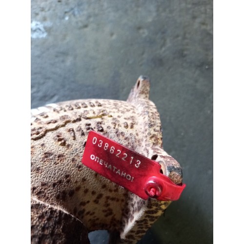 Колено горного тормоза Scania R380LA 2008г 037255 (213)-2