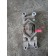 Подушка двигателя Renault Premium DCI LH (542)
