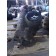 Рулевой редуктор (ГУР) Renault DXI 11 (336)