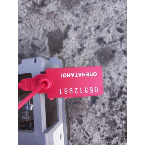 Плафон салона Renault Premium 037929 (961)-1