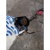 Проводка форсунок (ГБЦ) Iveco Cursor 8 (531)