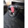 Поршень Mercedes Actros 792528 501 (462)