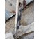 Кронштейн переднего крыла Renault Premium 016340 LH (645)
