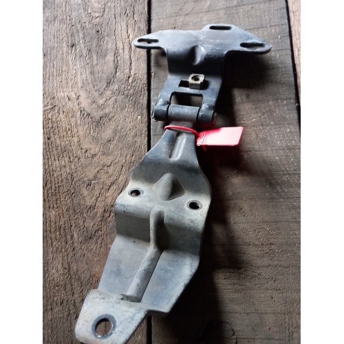 Петля капота MAN (494)-2