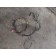 Проводка фары MAN TGA RH (603)