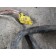 Проводка фары MAN TGA RH (603)