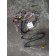 Проводка двери MAN TGA RH (854)