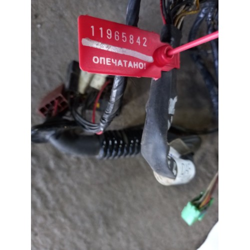 Проводка двери DAF 105 RH (842)-3