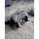 Патрубок интеркулера Iveco stralis 380872 Cursor 10 (539)
