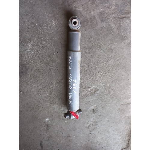 Амортизатор передний Renault T-серия (419)