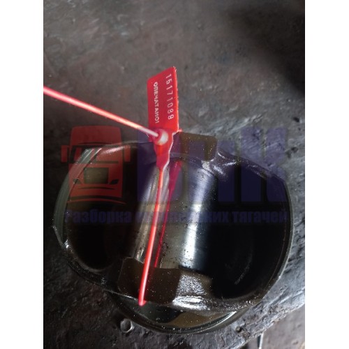 Поршень DAF 106 (089)-3