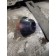 Фиксатор пневмоподушки Mercedes Actros MP4 766412  (585)