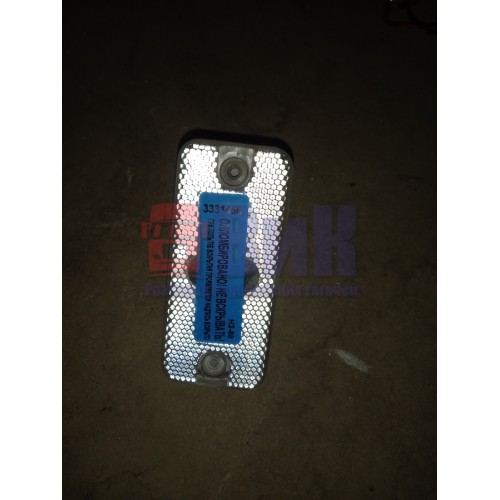 Плафон подножки Renault Premium (456)