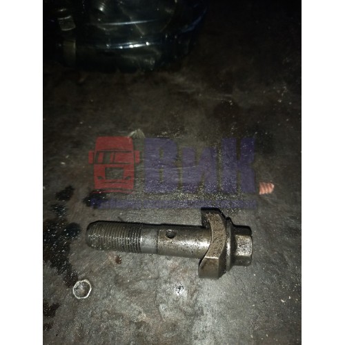 Спец.болт оси коромысло Iveco (639)