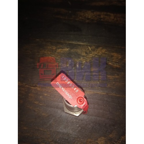 Специальная гайка шестерни ГРМ Renault Premium DCI-420 (348)-1