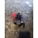 Дозатор форсунка мочевины Adblue MAN D2066 962068 (624) 