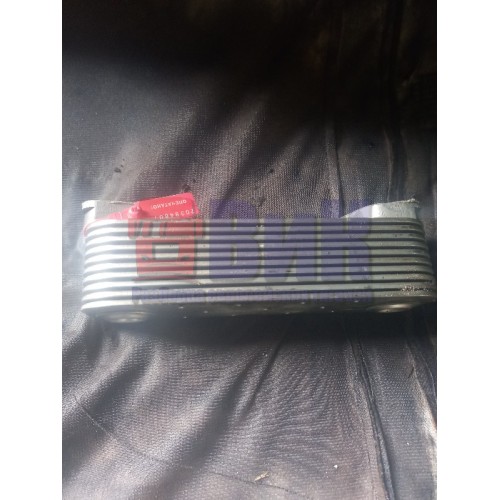 Радиатор теплообменника MAN D2066 962068 (807)-2