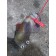 Патрубок водяной MAN D2066 962068 (580)