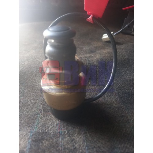 Кнопка горного тормоза DAF 105-95 (235)-1