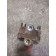Кран ускорительный Renault Pr 004269 (746)