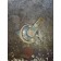 Сигнал электрический (383)