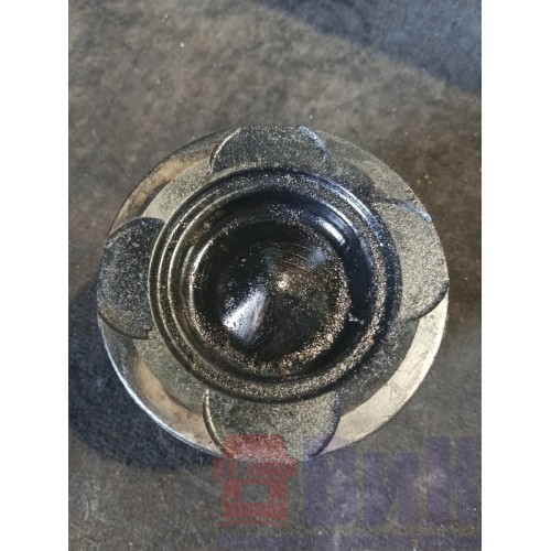 Поршень MAN D2066 962068 (654)