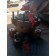 Привод вискомуфты DAF 105 MX375 A095041 (432)