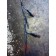 Проводка форсунок (ГБЦ) Iveco Stralis Cursor 10 393048 (310)