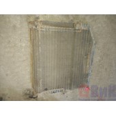 Сетка радиатора MAN TGS 184053 (414)