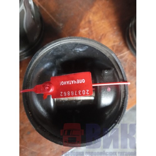 Поршень MAN D2066 (862)-6