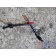 Трубка топливная MAN TGS D2066 596960 (956)