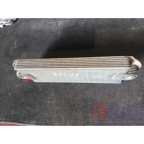 Радиатор теплообменника Renault DXI-13 (567)-5