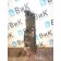 Крышка теплообменника Renault Pr DXI 11 011669 (105)