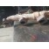 Коллектор выпускной Renault DXI 11 004269 (071)