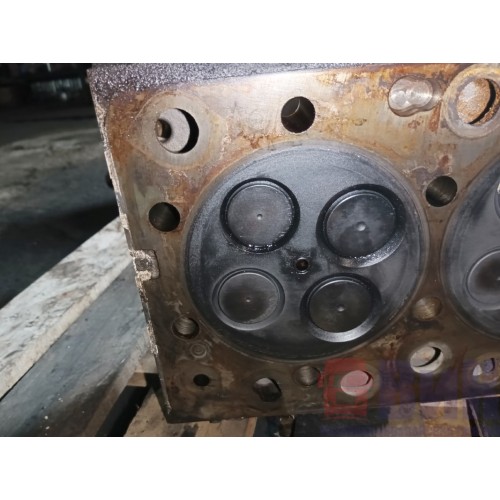 Головка блока цилиндров (ГБЦ) Renault DXI-11 (073)-2