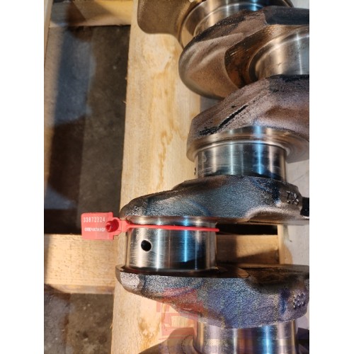 Коленчатый вал (коленвал) Renault Midlum DXI-7 (под полировку) (324)-8