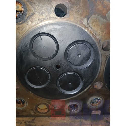 Головка блока цилиндров (ГБЦ) Renault DXI 11 (318)-14