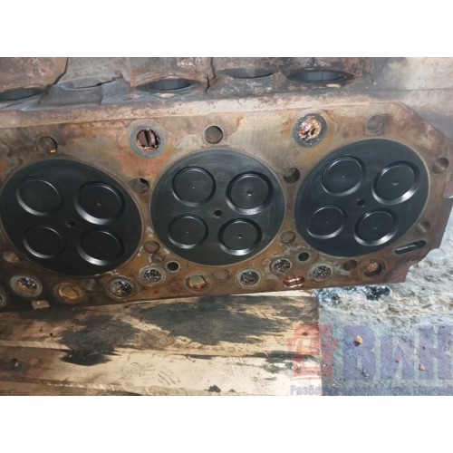 Головка блока цилиндров (ГБЦ) Renault DXI 11 (318)-8