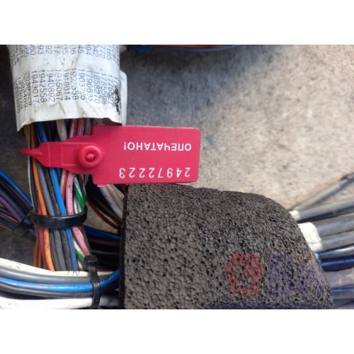 Проводка рамная Scania R 440 318231 (223)-9