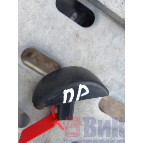 Ручка открывания двери DAF 105 внутренняя (грибок) RH (660)