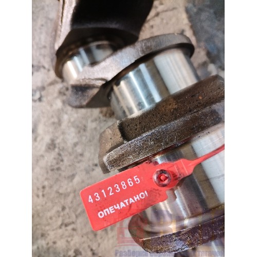 Коленчатый вал (коленвал) MAN TGS 19.400 D2066 LF70 041670 (865)-10